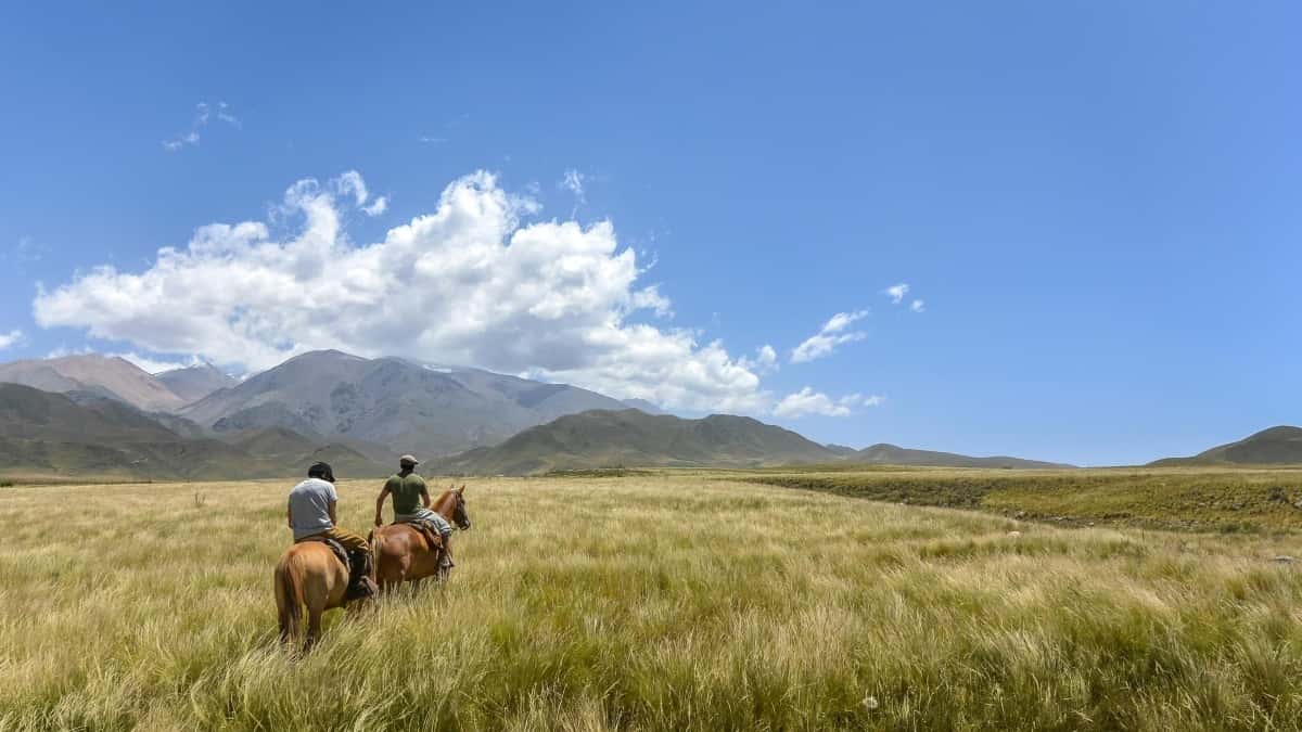 Slovenian brands: Find Ecuador Amazon creators fast