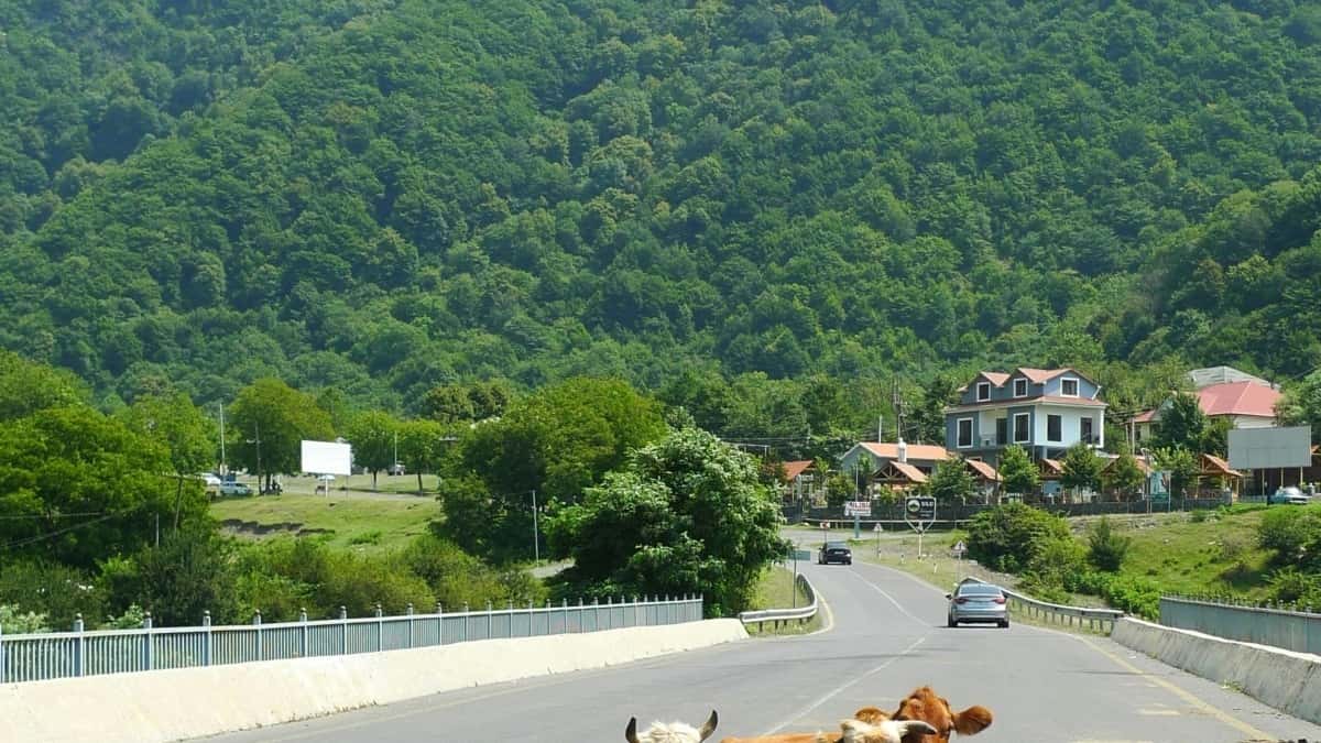 Kako navezati stik z armenskimi znamkami na Takatak za ocenjevanje fitnes opreme?
