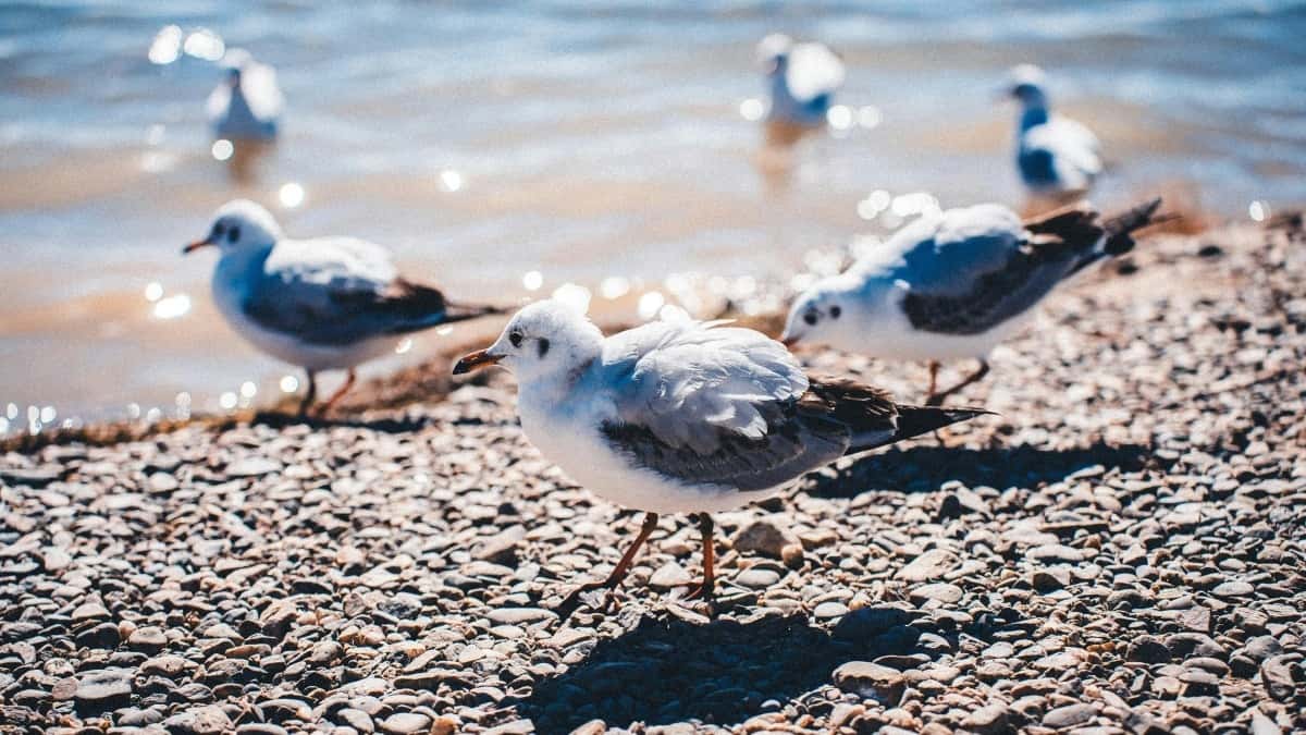 Kako najti mehiške Xiaohongshu ustvarjalce za boljšo blagovno znamko?
