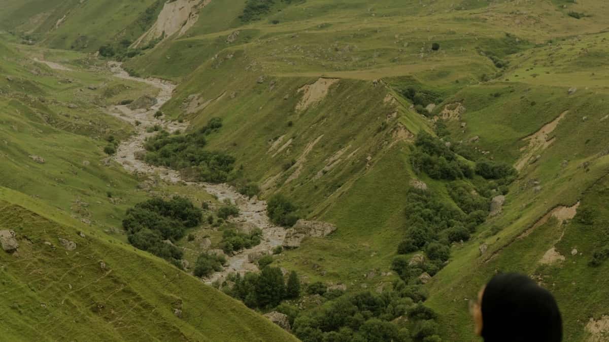 Kako nagovoriti švicarske znamke na Chingari