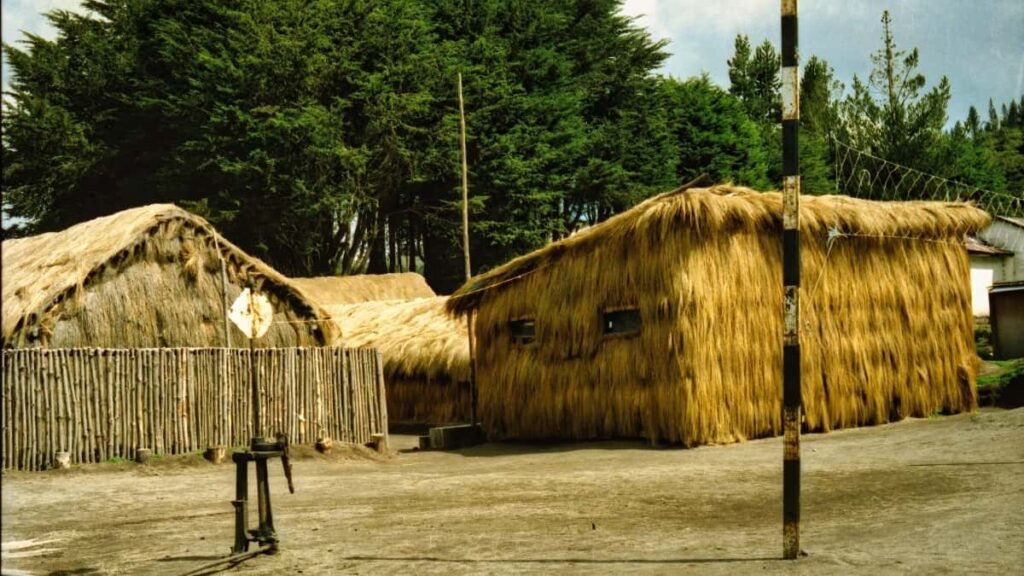 Konkretni koraki za slovenske oglasevalce: kako najti norveske Shopee ustvarjalce, oceniti vhod v druzbeno odgovorne kampanje in povezati affiliate/YouTube orodja.