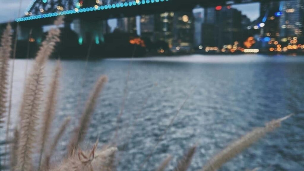 Konkretni koraki za oglasevalce v Sloveniji: kje iskati Panama Line kreatorje, kako oceniti fit z novo pesmijo in kako zagnati uspesen kreatorski promo.