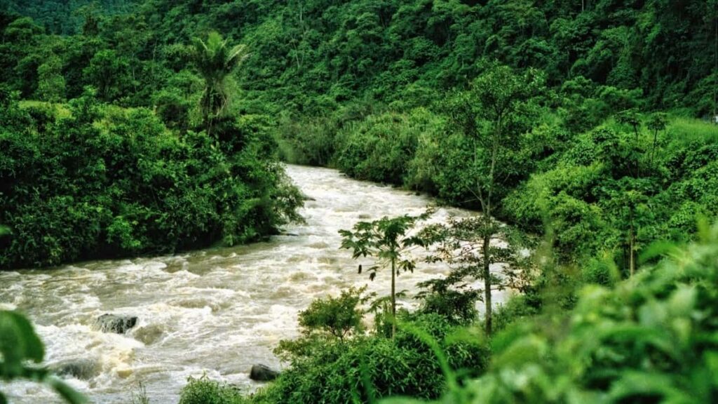 Prakticen vodnik za slovenske ustvarjalce: kako najti in kontaktirati panamske znamke na Apple Music, z nasveti za promocijo skladb v izzivih in primeri iz The Tunes Club.