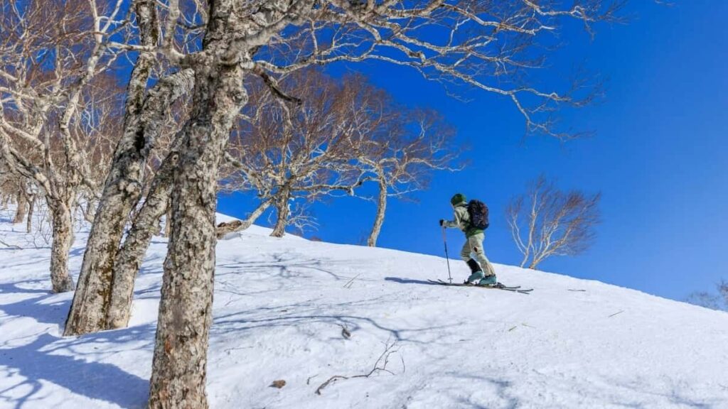 Korakzakorakom vodnik za oglasevalce iz Slovenije: kako odkriti in sodelovati z ustvarjalci iz Slonokoscene obale na Clubhouseu, da dosezete glasbene fanov.