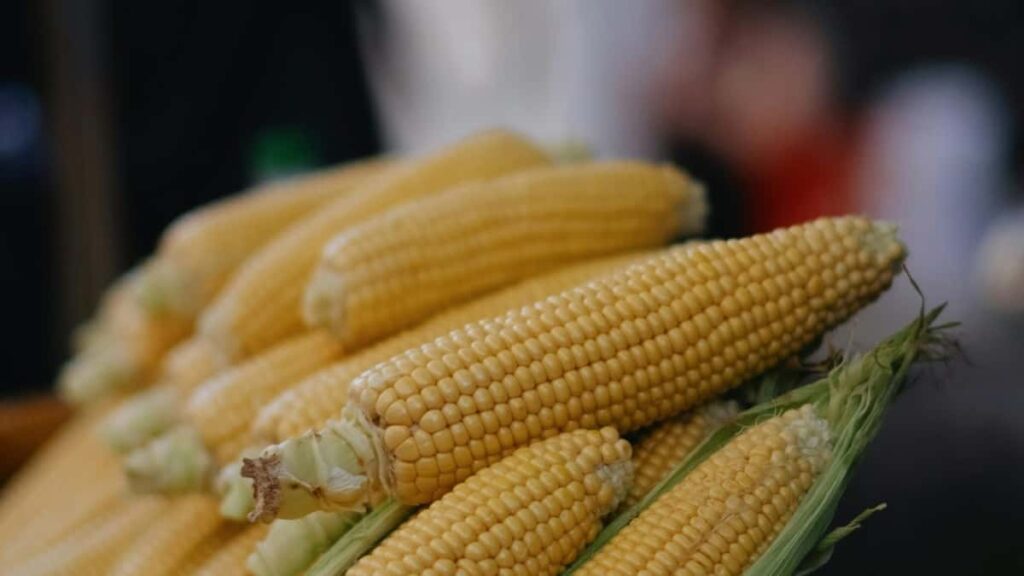 Kratek prirocnik za slovenske creatorje: taktike, kanalizacija in primeri, kako nagovoriti nepalske blagovne znamke na TikToku za review novih igrinih funkcij.