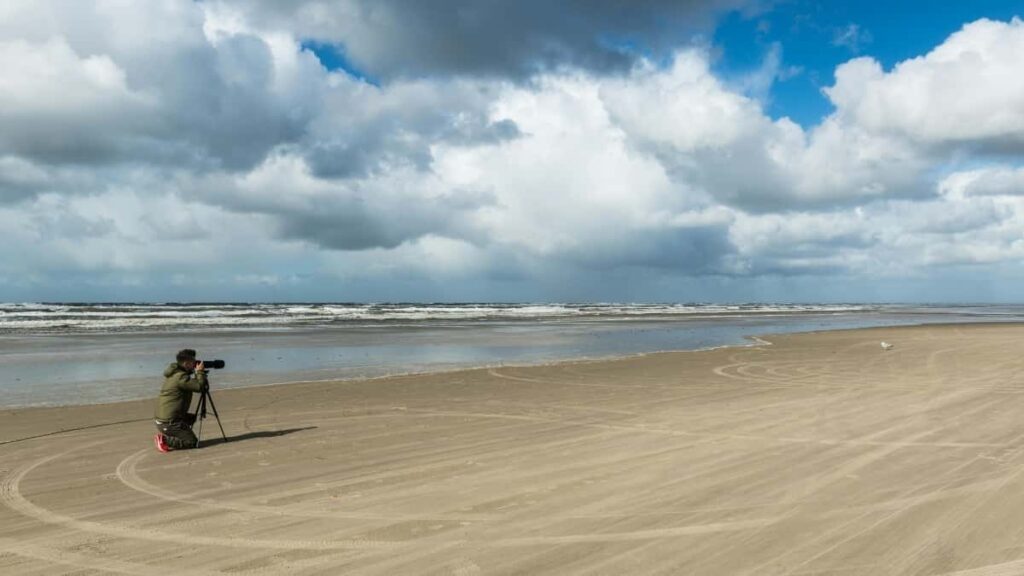 Konkretni koraki in lokalne taktike za slovenske ustvarjalce, kako priti v oci poljskim blagovnim znamkam na Facebooku in zgraditi dolgorocne sodelovanja.
