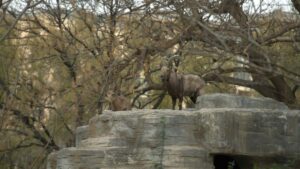 Prakticen vodic za slovenske oglasevalce: kako najti in aktivirati Malta Josh ustvarjalce, izkoristiti avtenticnost kampanj in povecati prepoznavnost turisticnih destinacij.