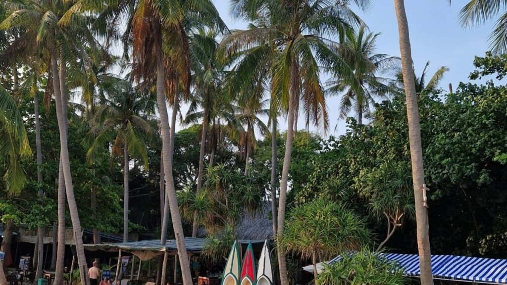 Praktcen vodic za slovenske oglasevalce: kako odkriti pakistanske ustvarjalce na Xiaohongshu in zagnati serijo tutorialov, s taktikami, pravili in primeri.