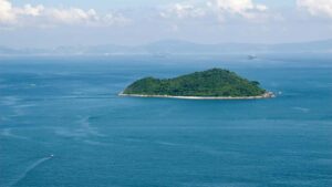 Prakticen vodic za slovenske oglasevalce: kako najti in aktivirati YouTube ustvarjalce iz Uzbekistana za reakcijske kampanje albumov, z lokalnimi strategijami in pravili.