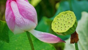 Prakticen vodic za slovenske creatorje: kako na Facebooku nagovoriti malezijske blagovne znamke in skleniti sodelovanja z zalozniki iger taktike, primeri in pasti.