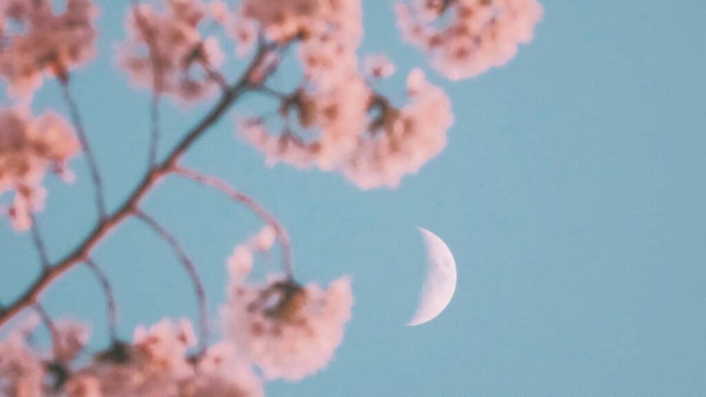 Prakticen vodic za slovenske ustvarjalce: kako pristopiti do pakistanskih blagovnih znamk na Moj, dogovoriti dolge produktne recenzije in zgraditi kredibilen, monetiziran odnos.