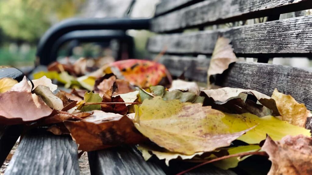 Prakticen vodic za slovenske kreatorje: kako najti in nagovoriti Puerto Rico znamke na vkontakte za dolge, verodostojne produktne recenzije.